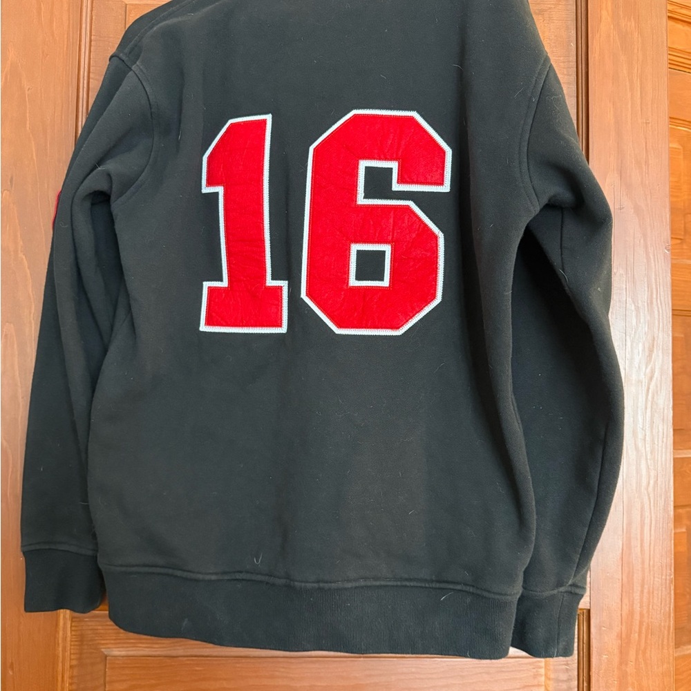 Pearl Jam official concert merch - 2016 Wrigley hoodie - Picture 6 of 7